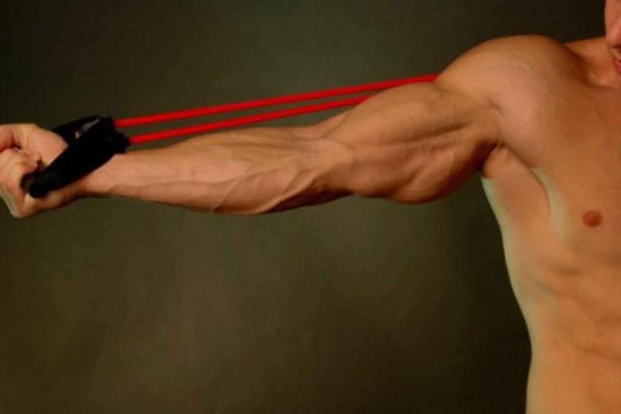 Chest and Triceps #2